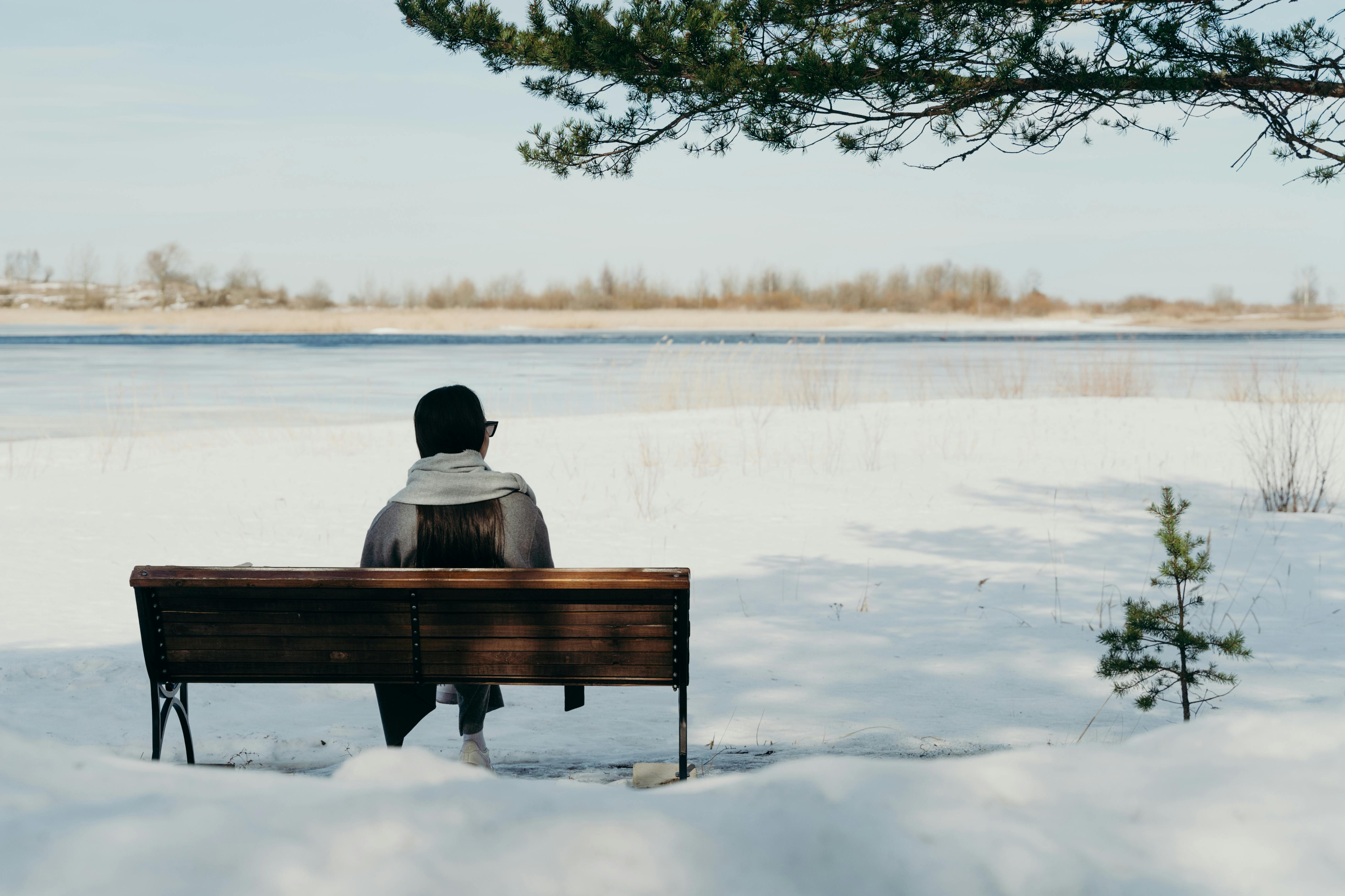 A Woman Sitting on the Bench · Free Stock Photo A Woman Sitting on the Bench · Free Stock Photo
