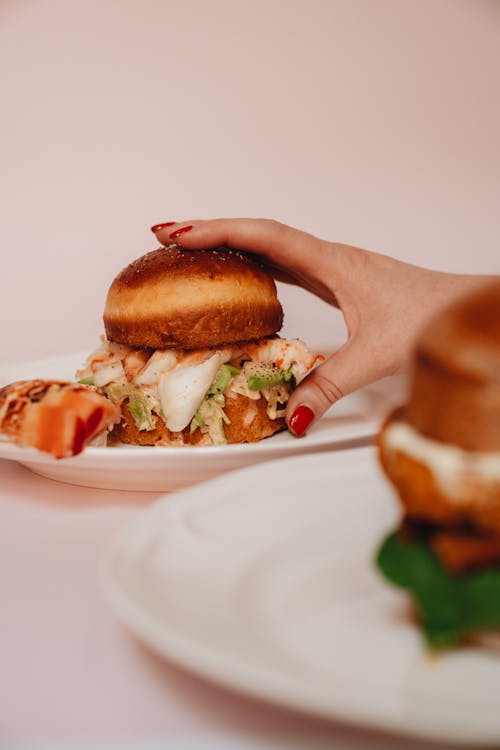 Foto profissional grátis de alimento, almoço, carne