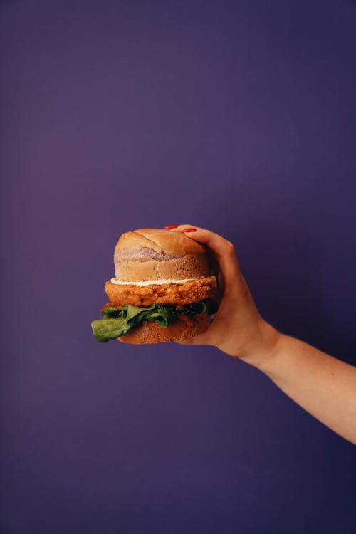 Free Person Holding a Burger Stock Photo