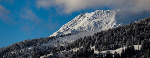 冬季, 天性, 积雪覆盖的山 的 免费素材图片
