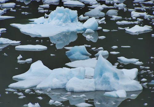 Floating Icebergs On Ocean