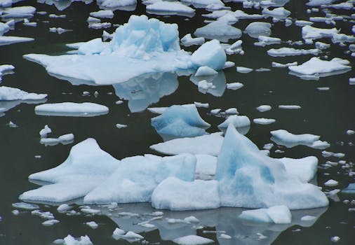 A stunning view of floating icebergs in Magallanes, Chile, emphasizing climate change.