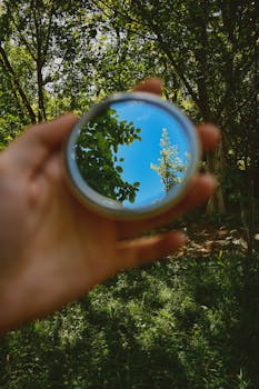 Close-up of a hand holding a mirror reflecting a vibrant blue sky and trees in a lush forest.