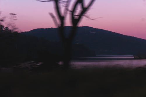 Darmowe zdjęcie z galerii z drzewo, góra, jezioro