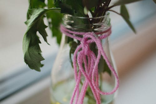 String over Bottle with Plant