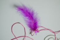 Purple Feather on White Surface