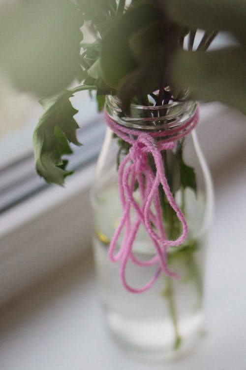 Close-Up View of a Glass Bottle Vase with Plants in it