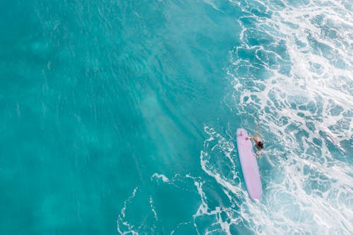 Person in the Water with Surf Board