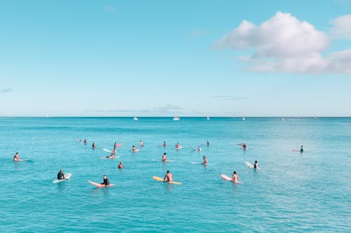 People in Sea Water with Surf Boards