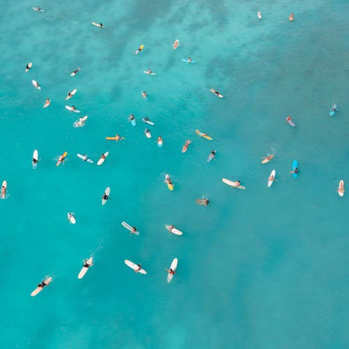 Surfers on the Water