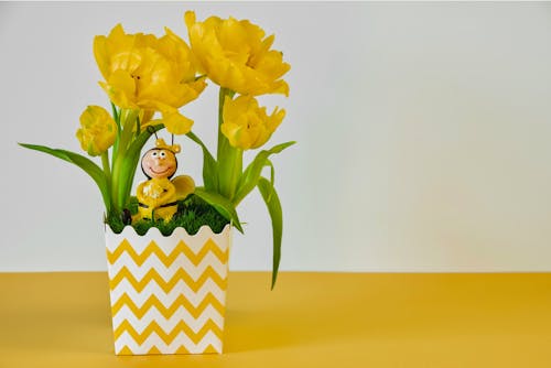 Yellow Flowers in Yellow and White Vase