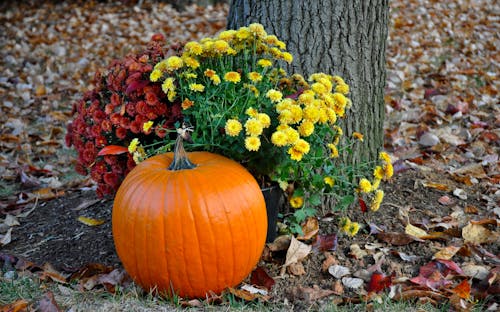 Check Out The Fall Crafts for Adults - You Will Love These