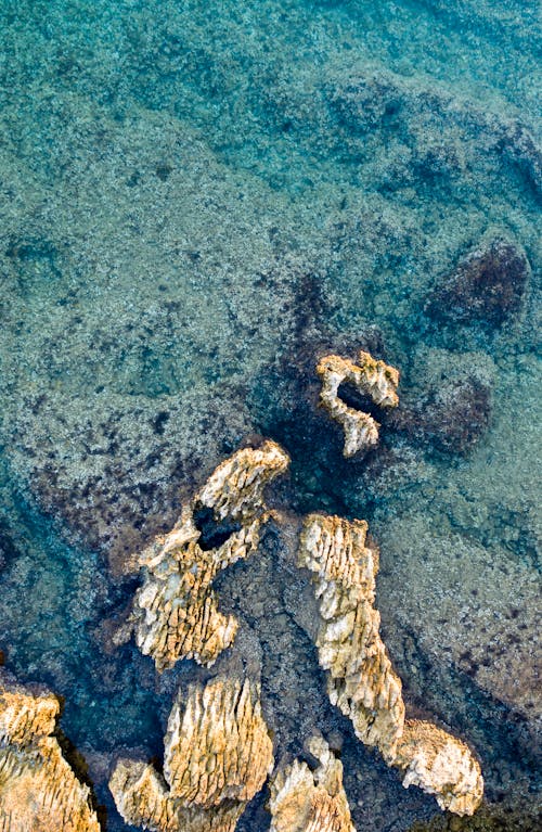 açık hava, deniz, dikey atış içeren Ücretsiz stok fotoğraf