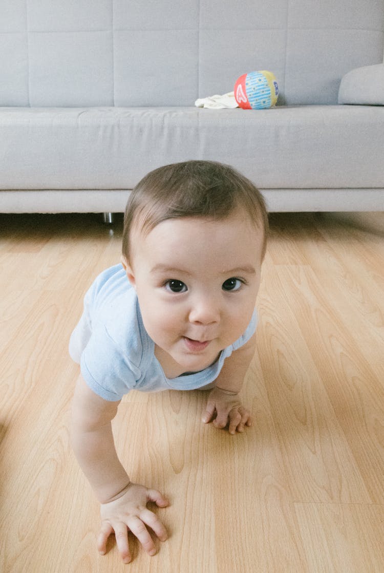 Baby In Blue Shirt Crawling On Brown Wooden Floor