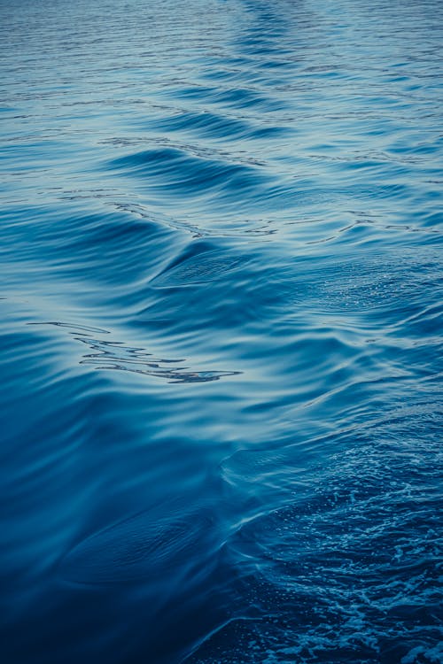Ilmainen kuvapankkikuva tunnisteilla aalto, märkä, meri