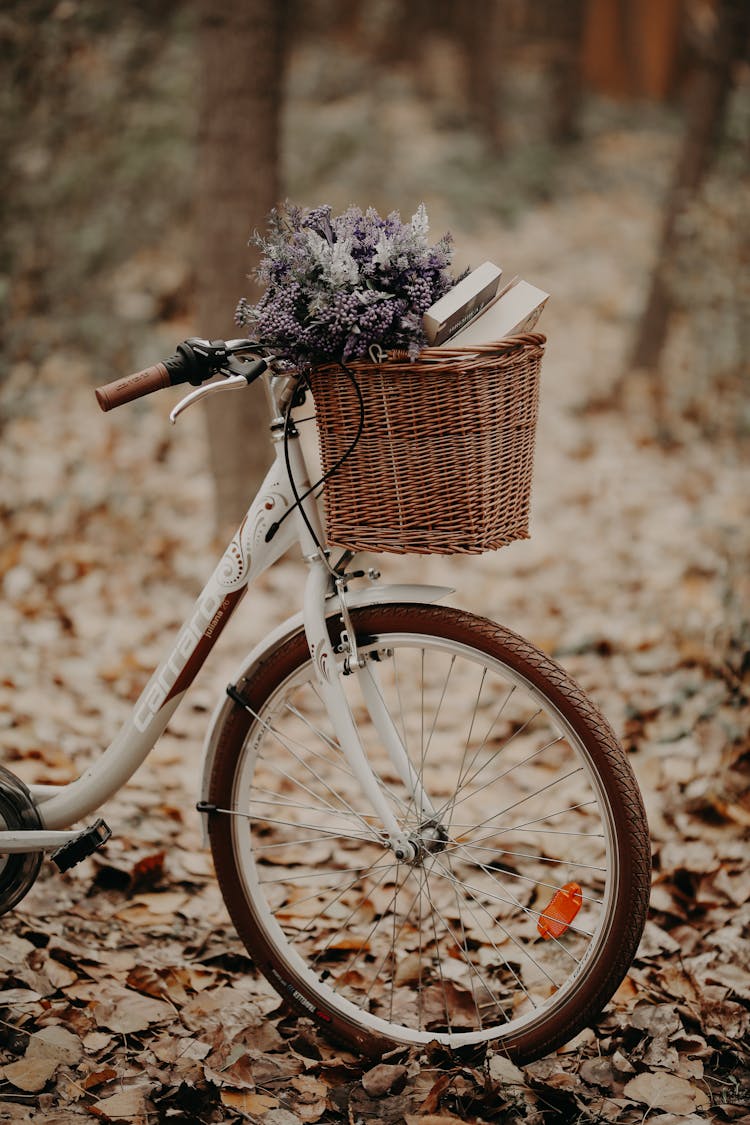 White Bike With Basket On It