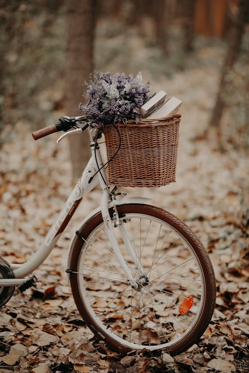 Brown Woven Basket on Bicycle