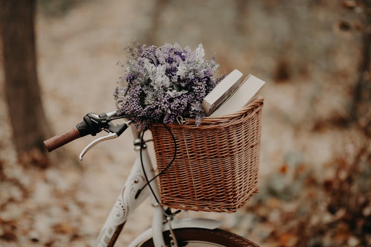 Books And Flowers In The Basket Bike