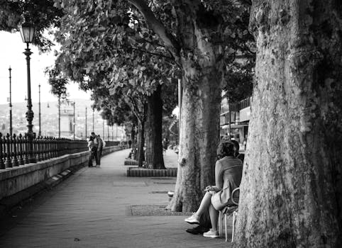 A serene black and white image of a couple sitting on a park bench under large trees.