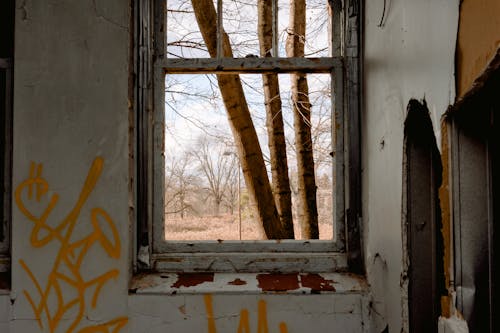 Free Abandoned building with graffiti on wall Stock Photo