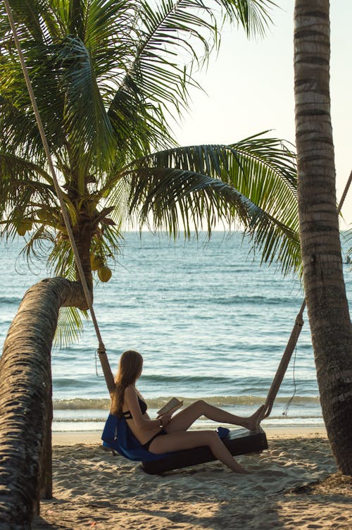 Free stock photo of beach, blue sky, coconut