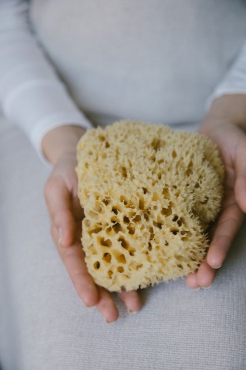 Free Close-up of hands holding a natural sea sponge, highlighting texture and shape. Stock Photo