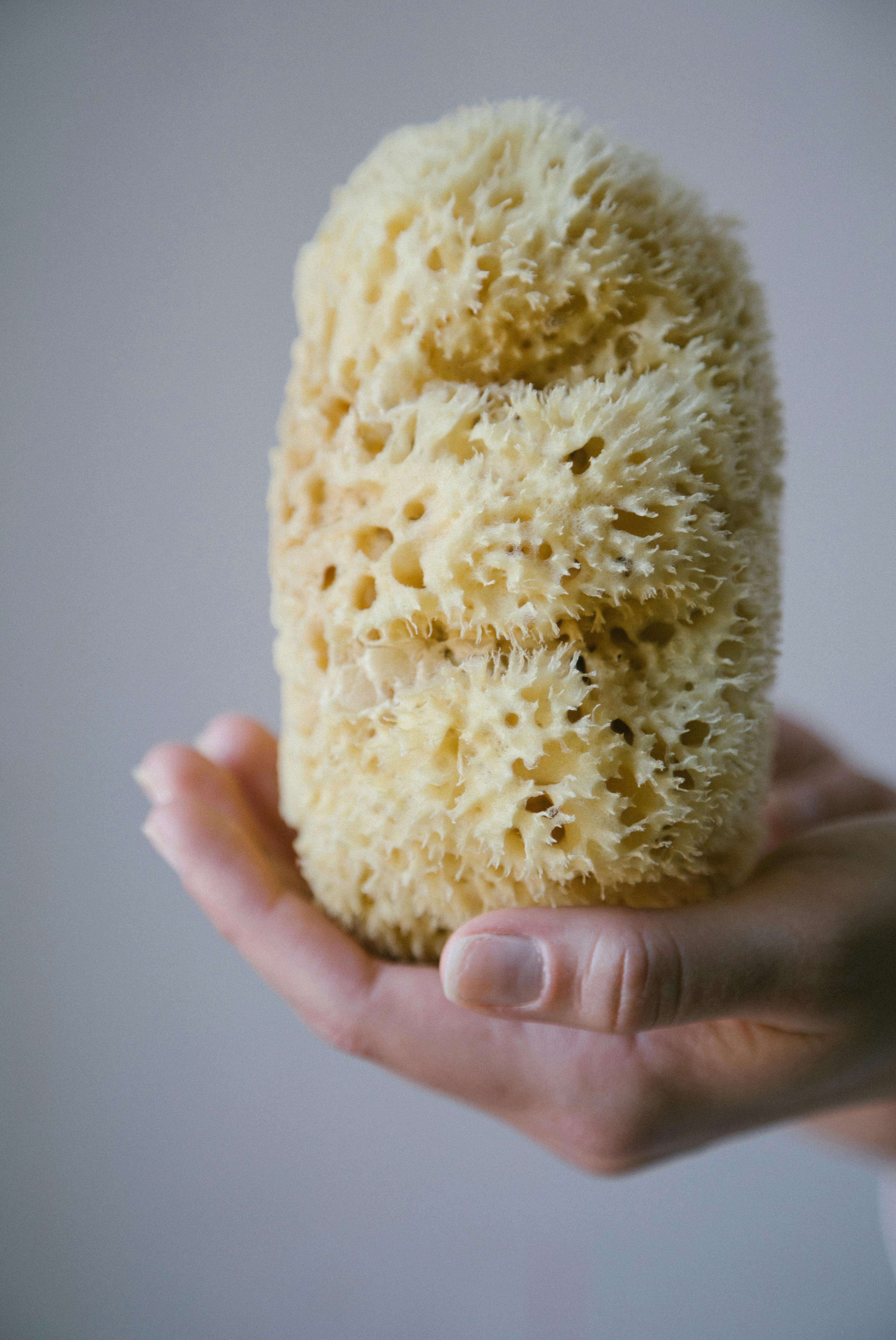 Close-up of a natural sea sponge held in a hand, emphasizing eco-friendly skincare.