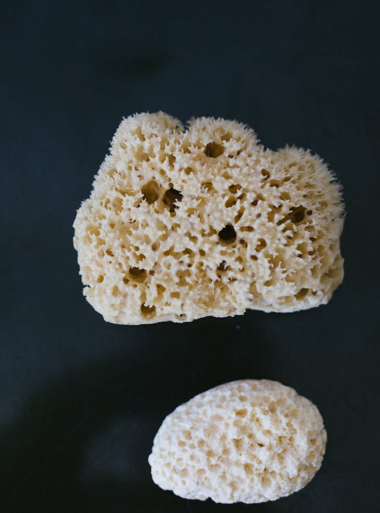 Sponges With Black Background