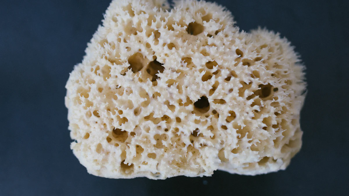 Discover the Best Natural Sponges for Your Needs
