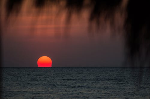 Gratis lagerfoto af hav, solnedgang, strand