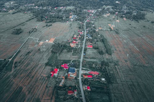 Foto profissional grátis de acordo, aéreo, agricultura