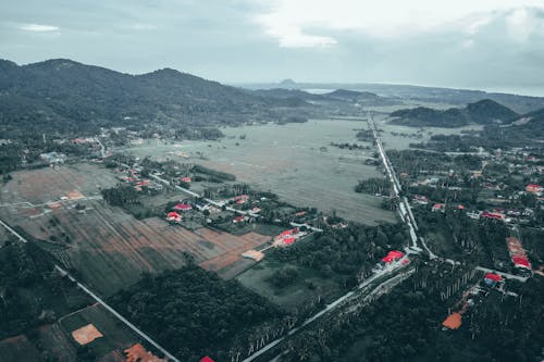 Picturesque drone view of plantations and lush green woods growing near residential houses in mountainous countryside against cloudy sky