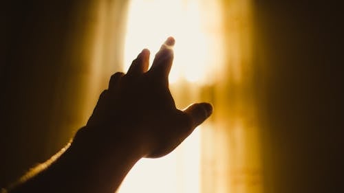 A Close-Up Shot of a Persons Hand Reaching Out