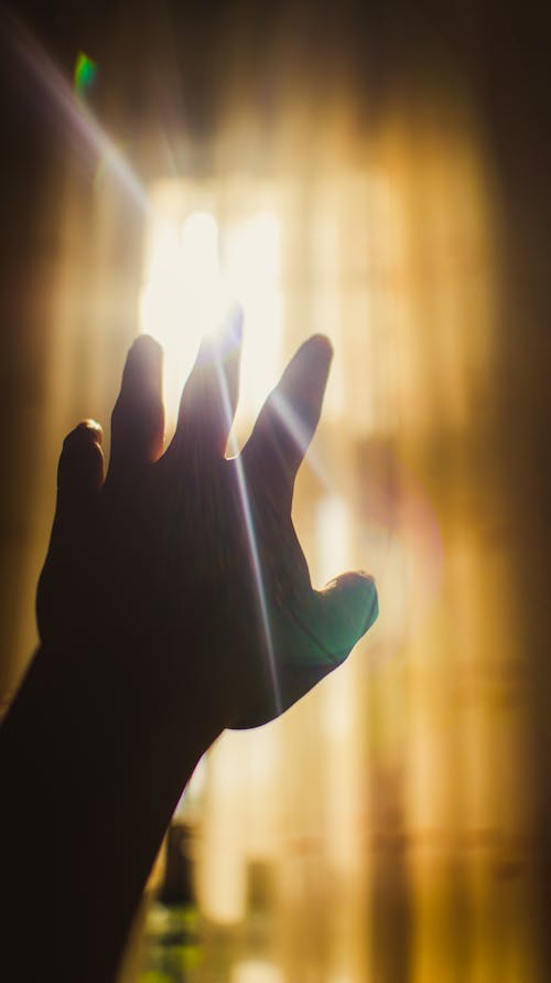 A Close-Up Shot of a Persons Hand Reaching Out