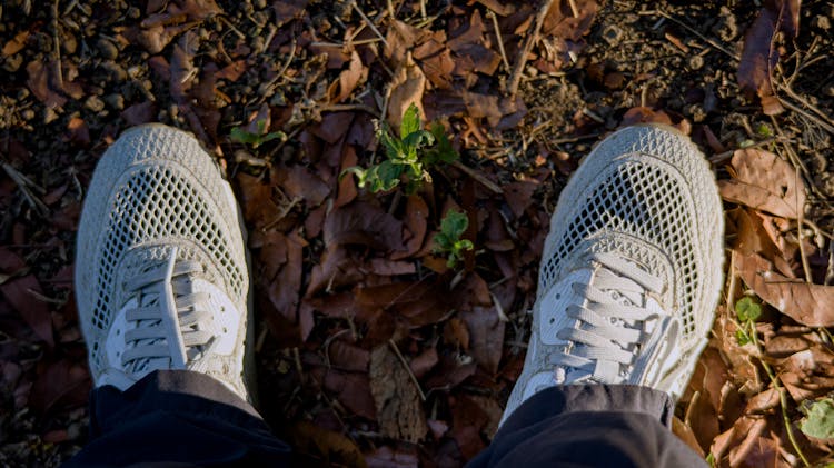 Crop Feet Of Person In Sneakers