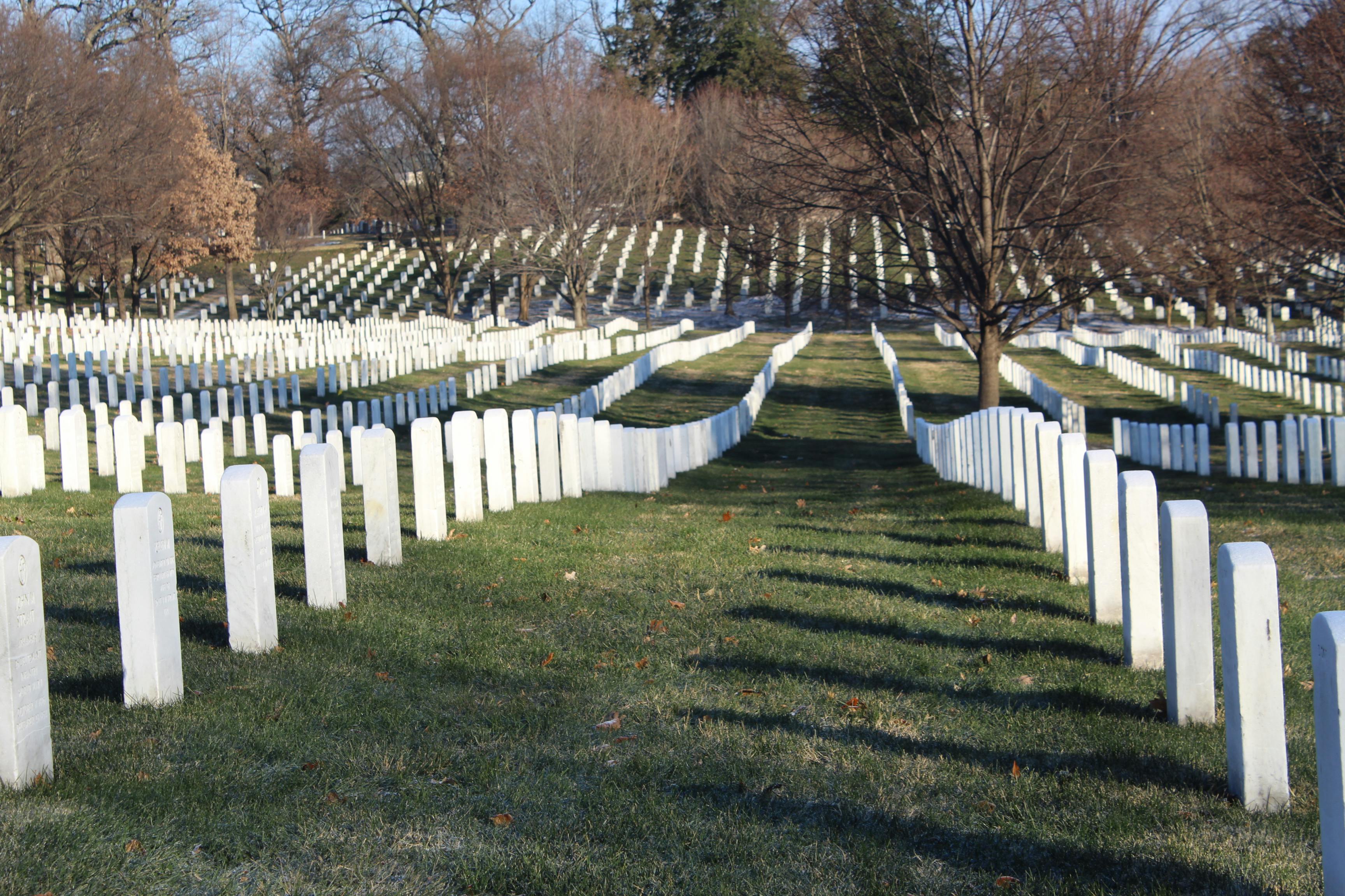 Free stock photo of Arlington National Cemetary, cemetary, tombstones