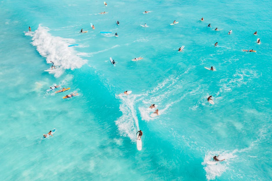 People Surfing on Sea · Free Stock Photo