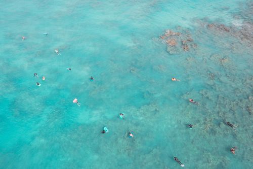 Free Drone shot capturing surfers in pristine turquoise waters from above. Stock Photo