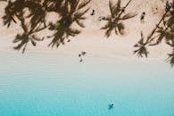 令人惊叹的空中拍摄的棕榈树阴影和绿松石水域的热带海滩