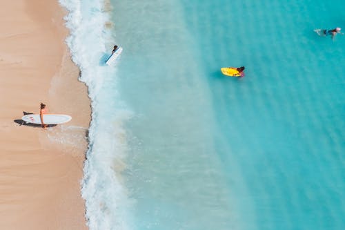 Surfers at the Beach 