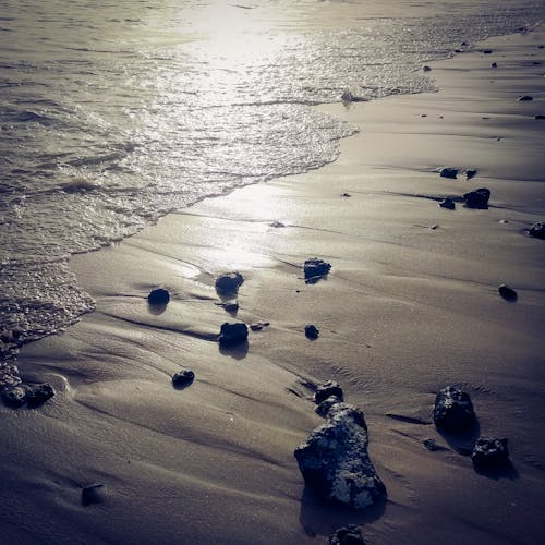 Безкоштовне стокове фото на тему «Захід сонця, море, пляж»