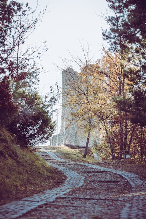 Free stock photo of hill, nature, tower