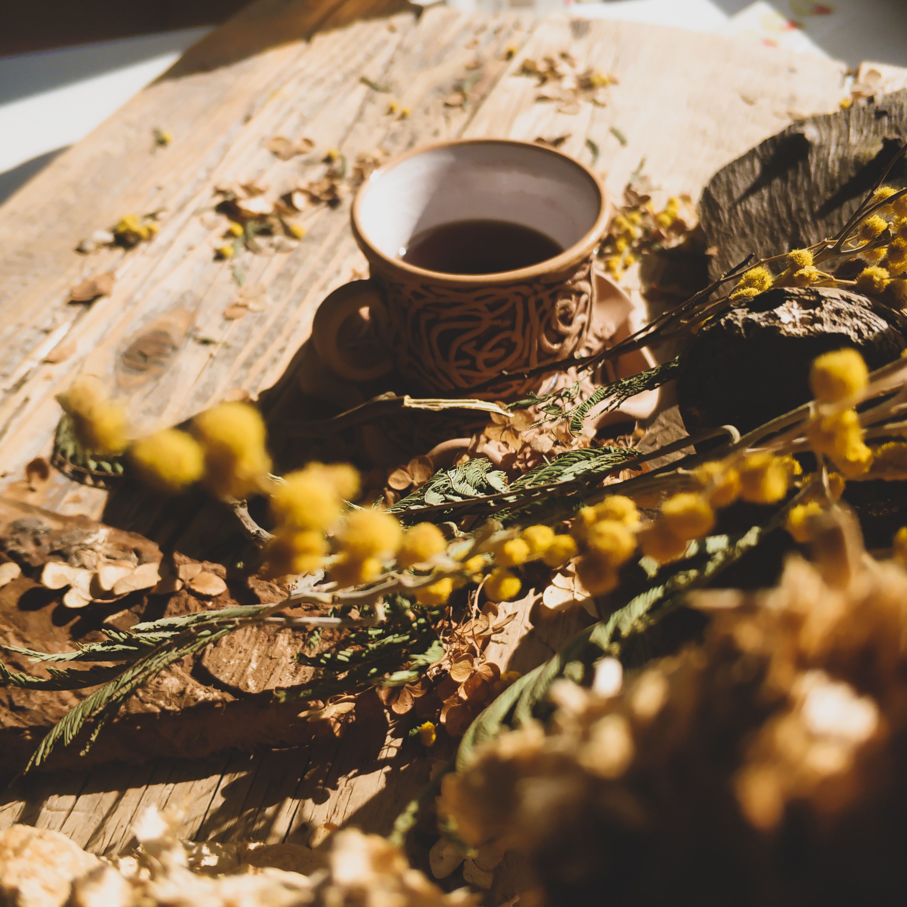 From above of small mimosa flowers near mug of hot drink placed on messy wooden plank in room with sunlight
