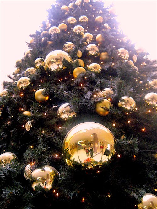 Gratis Bidikan Sudut Rendah Pohon Natal Dengan Perhiasan Berwarna Emas Foto Stok