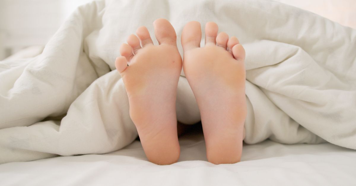 foot-and-mouth disease