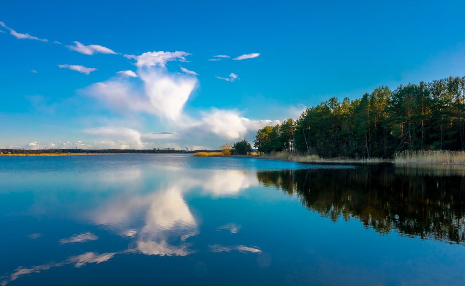 Fotomural Lago tranquilo reflejando un cielo vibrante y árboles exuberantes en Riga, Letonia.