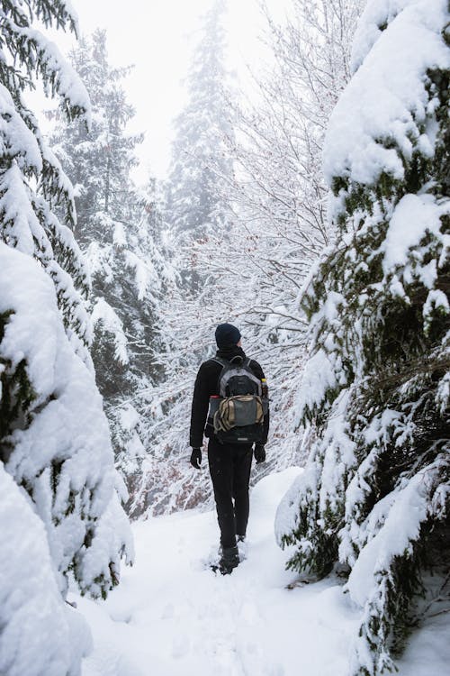 Kostenloses Stock Foto zu abenteurer, frost, natur