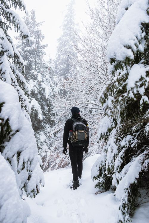 Free Person with backpack hiking through a snowy forest trail in winter, experiencing nature's winter wonderland. Stock Photo