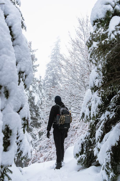 A Man with a Backpack Standing in a Snowy Forest