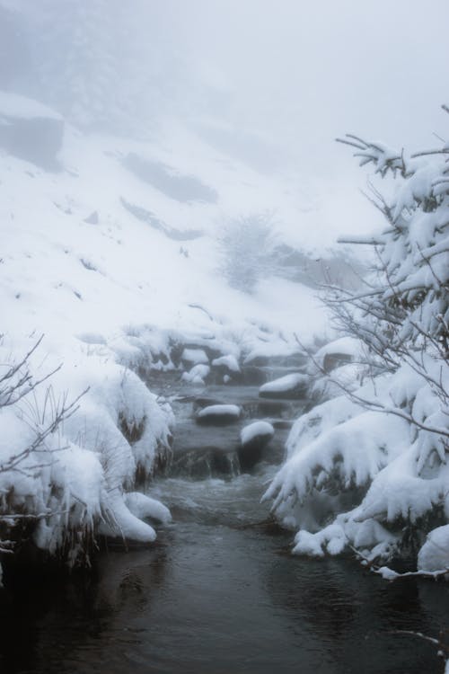 Kostenloses Stock Foto zu fluss, gewässer, kaltes wetter